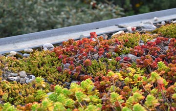 the cost of Clubworthy green roof installation