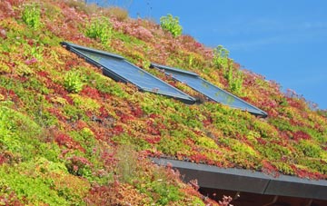 Clubworthy living roof systems